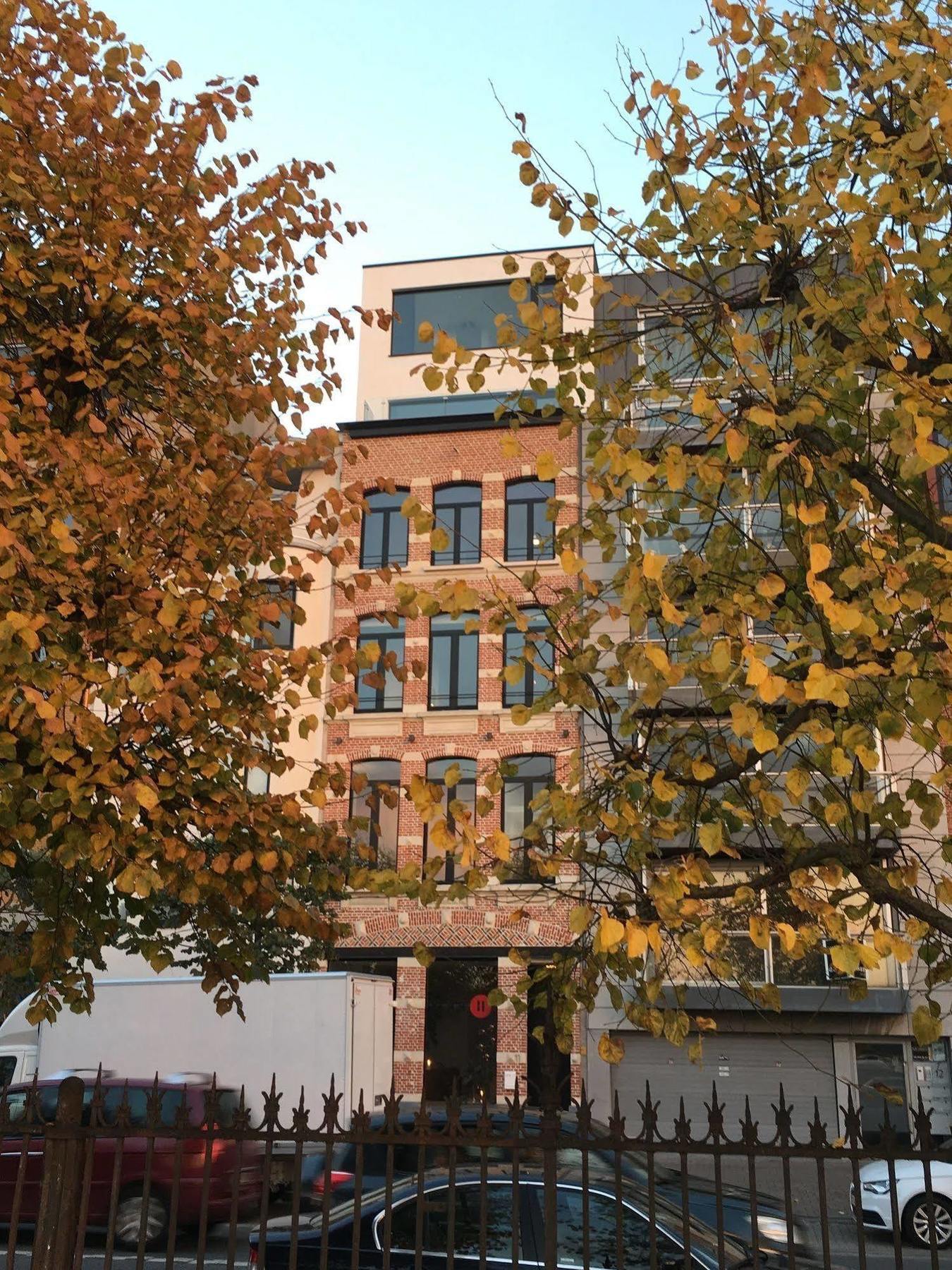 Kaai 11 Hotell Antwerpen Exteriör bild